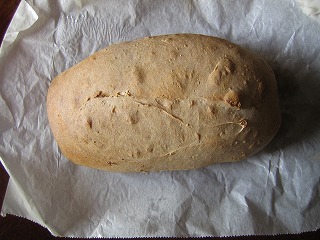 IMG_1238.jpg