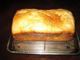 IMG_1481.jpg