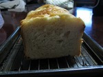 IMG_1488.jpg