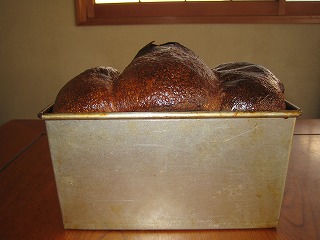 IMG_1871.jpg