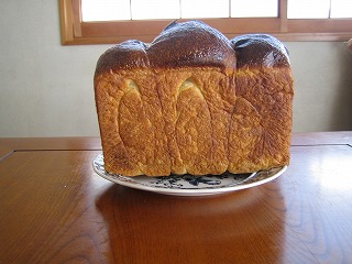 IMG_1873.jpg